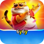 6y6y